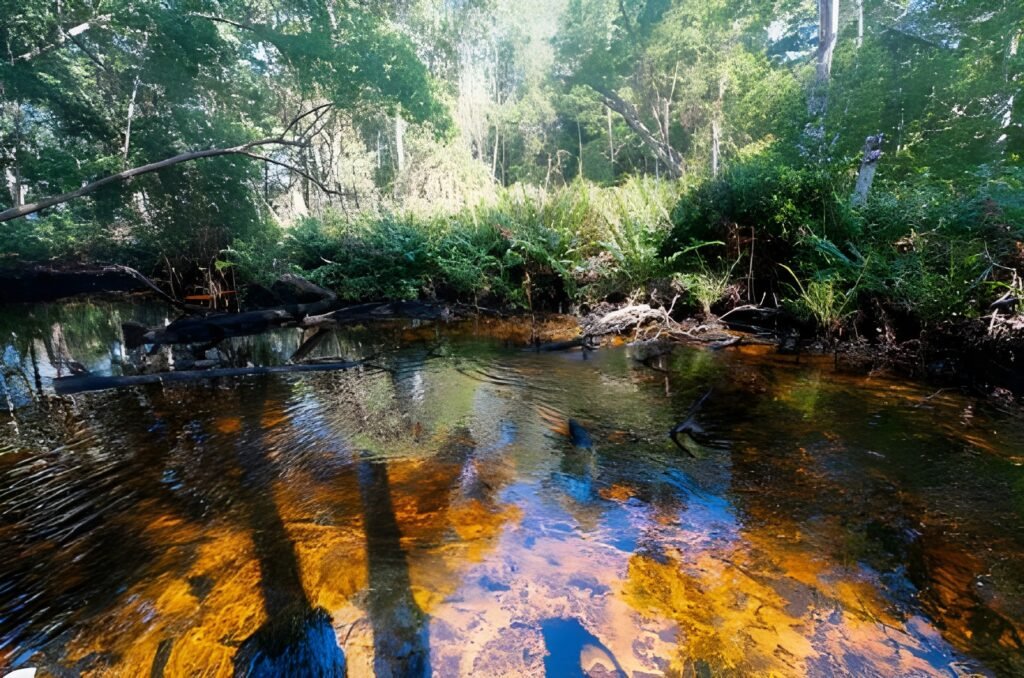 12 Best Places to Visit in Mexico for an Unforgettable Trip 9 Celestun