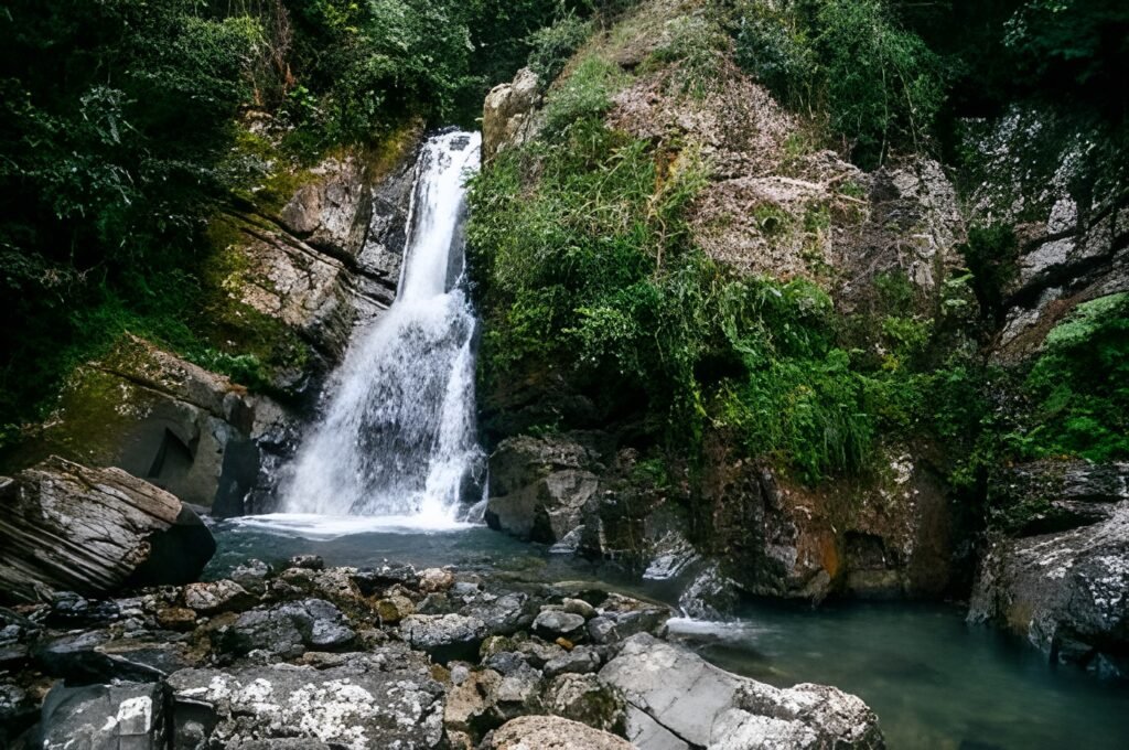 El Yunque National Forest