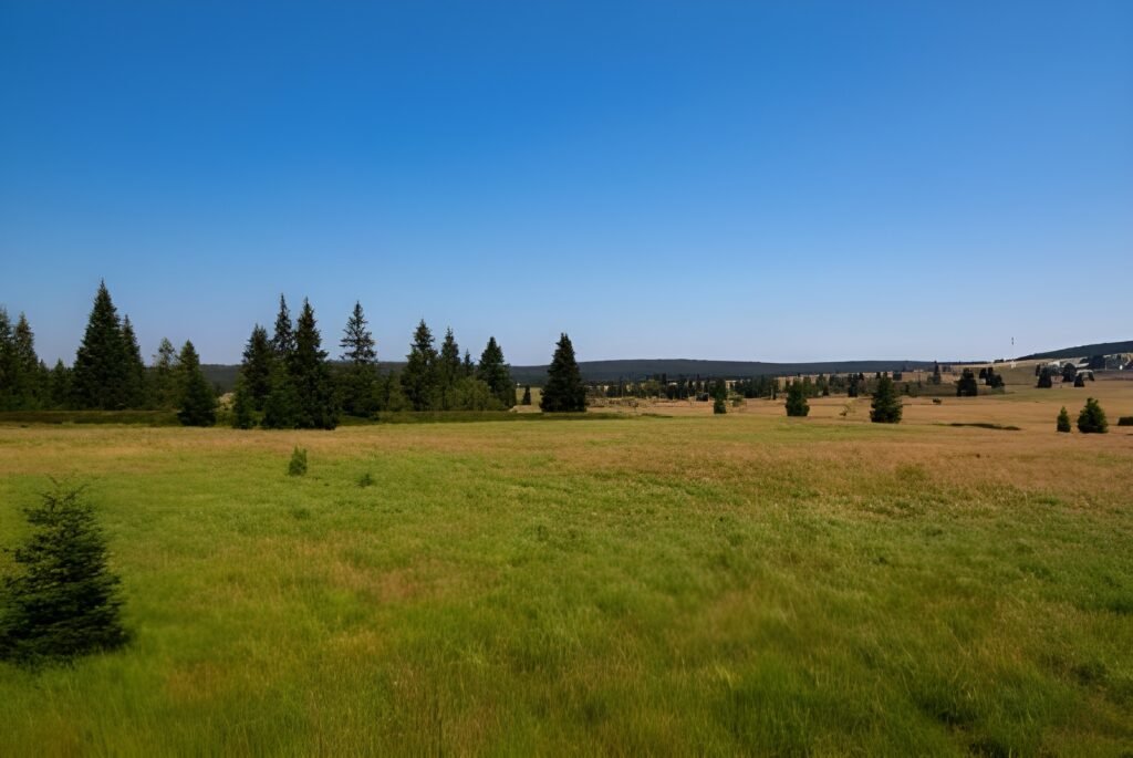 Belgium’s Most Beautiful Places You Must Visit 16 High Fens Eifel Nature Park