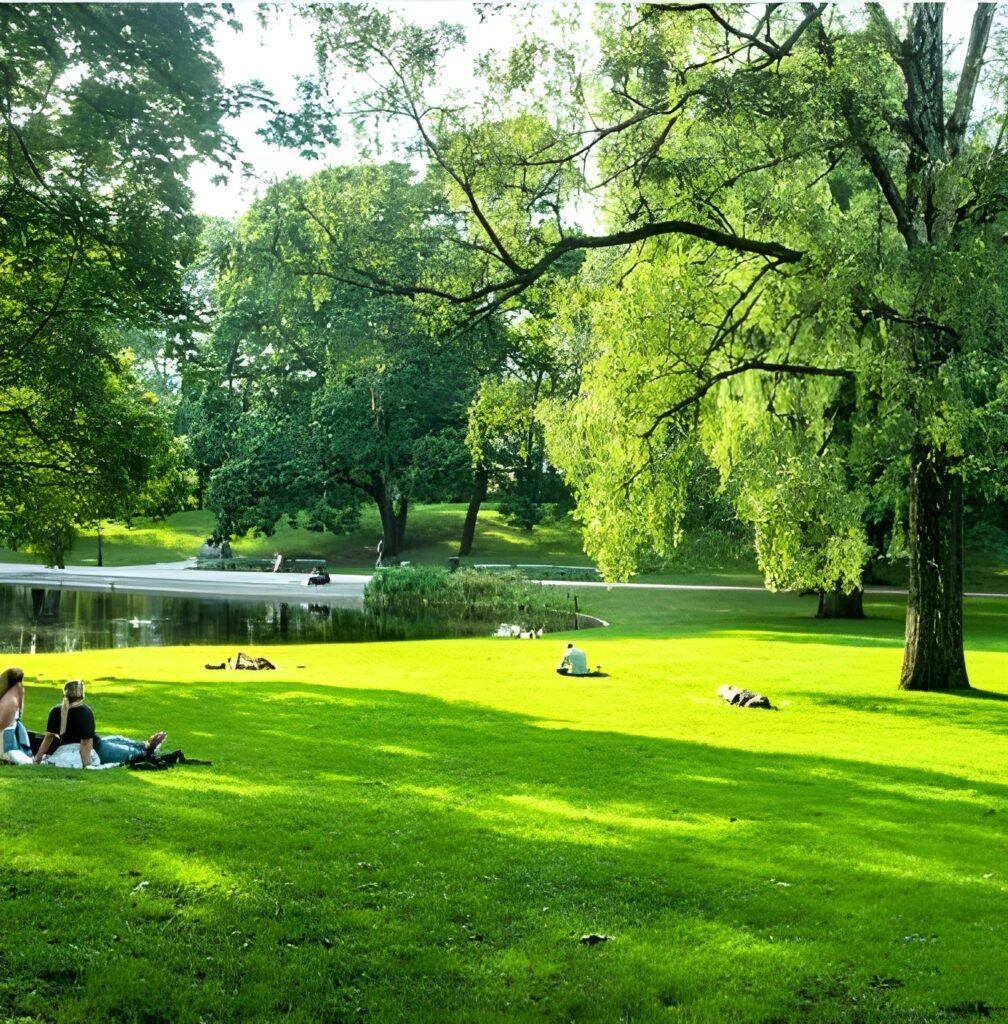 10 Best Weekend Breaks on a Budget in Norway 12 Oslo