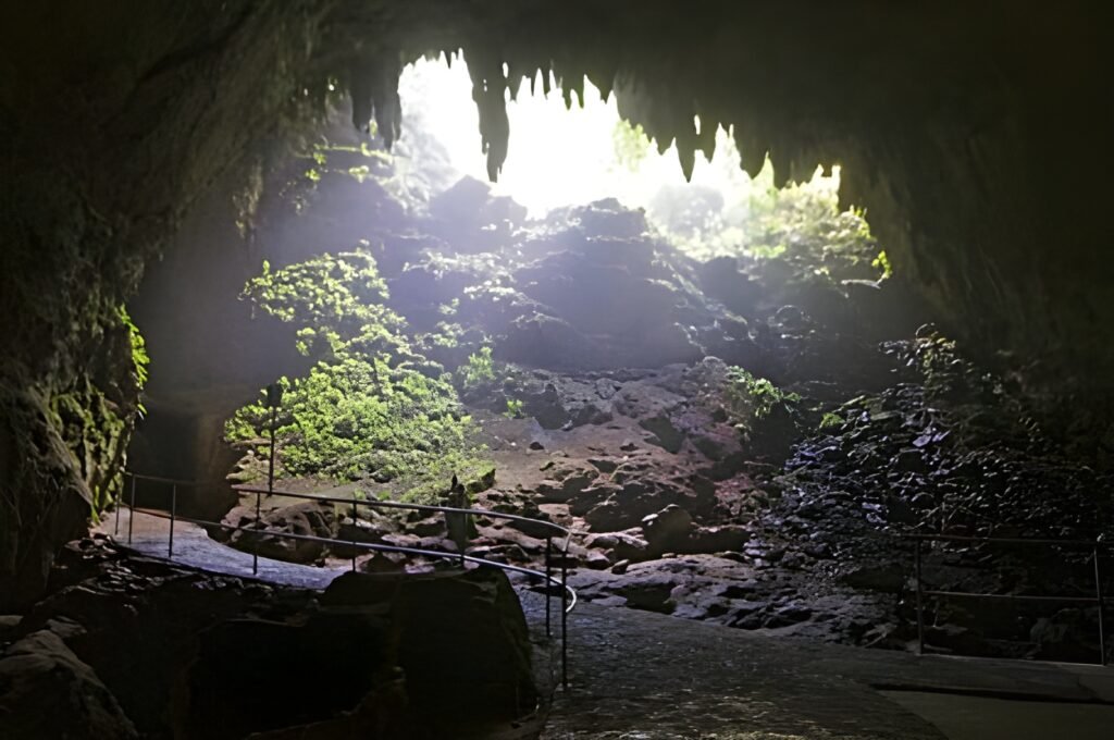 Rio Camuy Cave Park