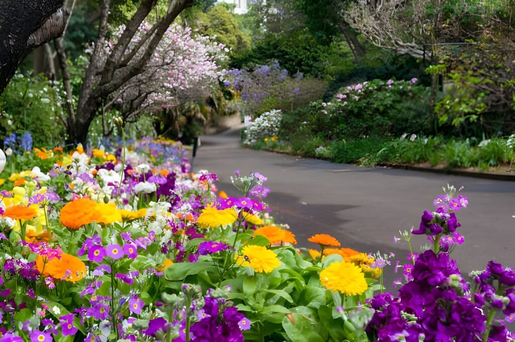 Vibrant flower beds in a botanical garden with a winding pathway in the background.