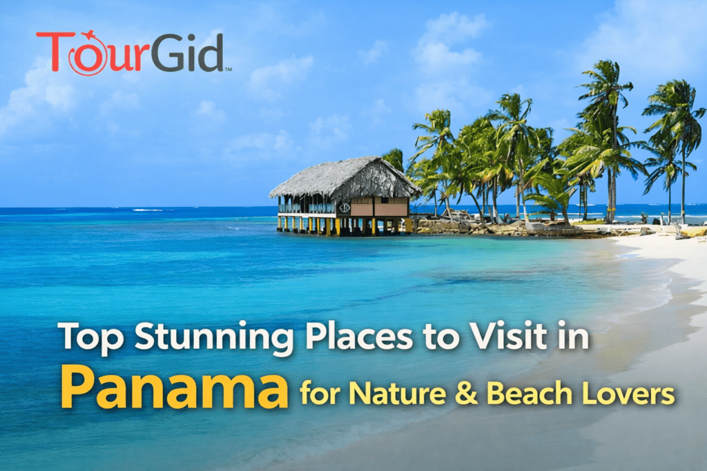 394c3dab f430 4f2f 95af cba431f386de