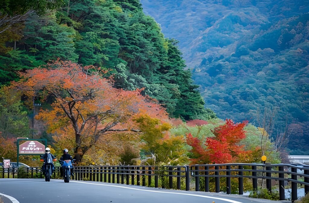 Best Time to Visit Japan by Season Complete Month-Wise Travel Guide (2026) 12 Autumns Gradual Approach
