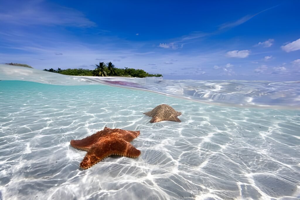 Why the Cayman Islands Are Most Beautiful Escapes One of the Caribbean’s 13 Owen Island