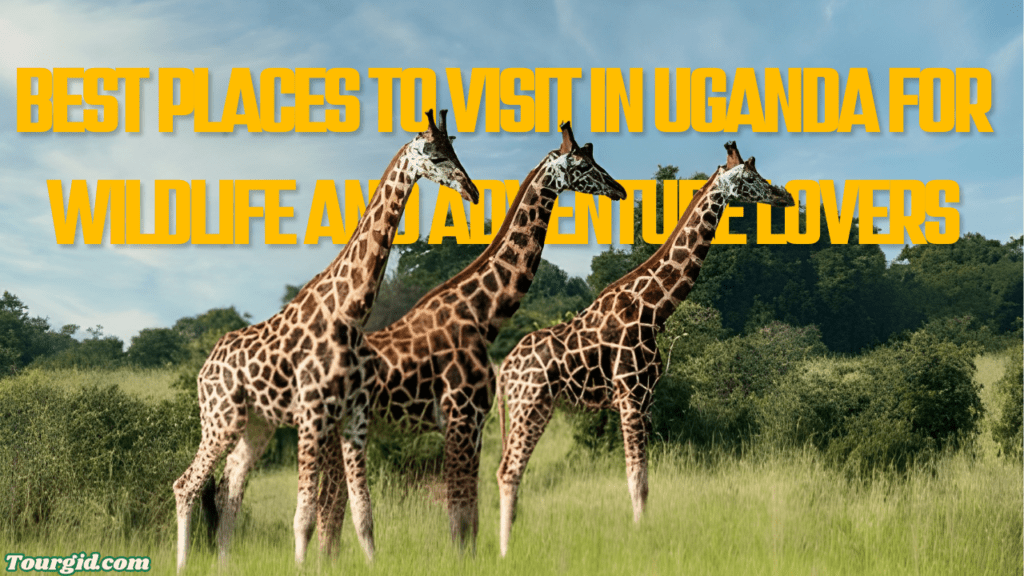 Places to Visit in Uganda