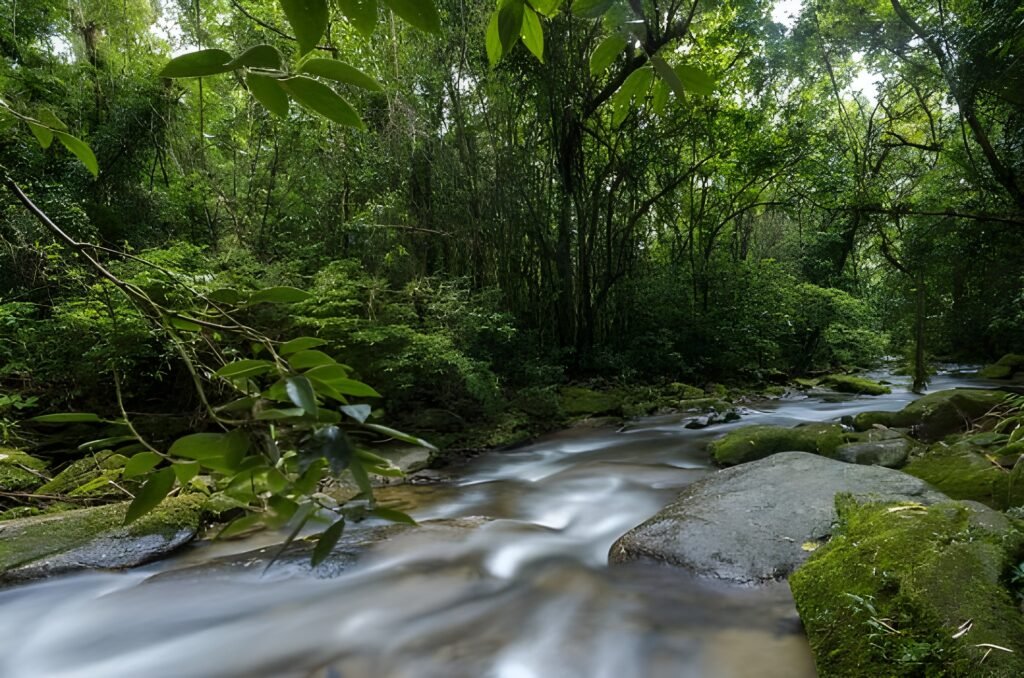 Rio de Celeste Waterfall