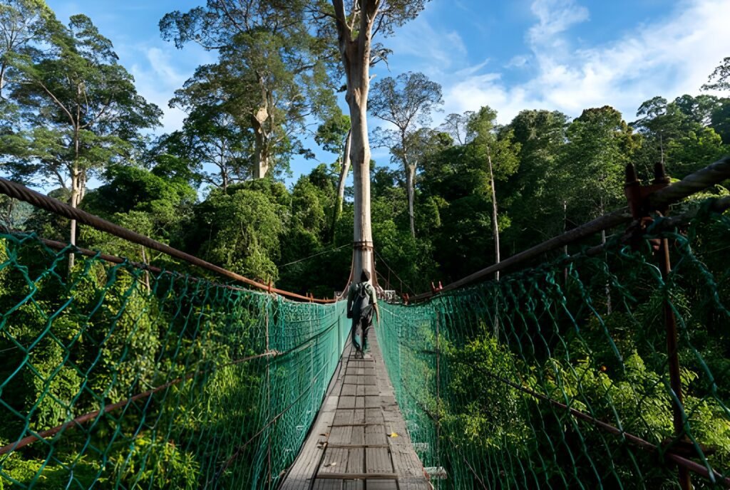 Top Places Visit in Malaysia Before It Becomes Overcrowded