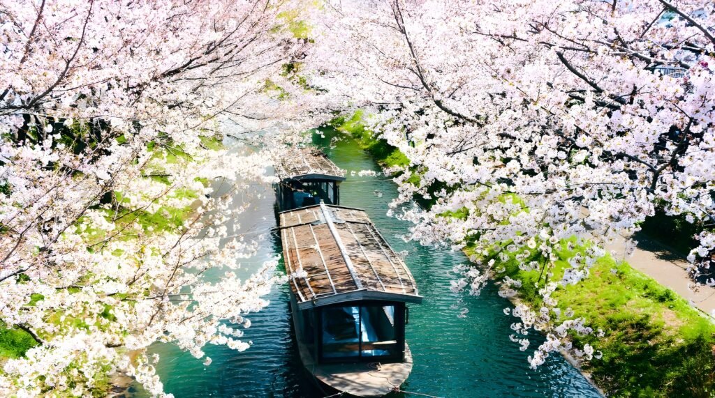 Best Time to Visit Japan by Season Complete Month-Wise Travel Guide (2026) 6 Springs Gradual Arrival1