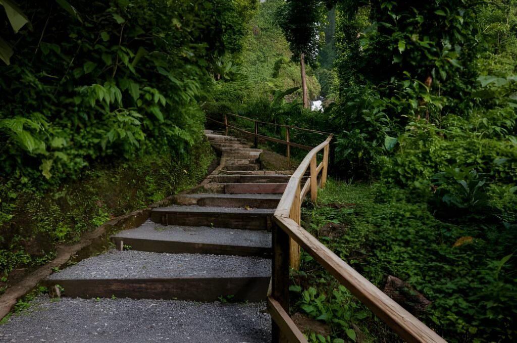 Syndicate Nature Trail