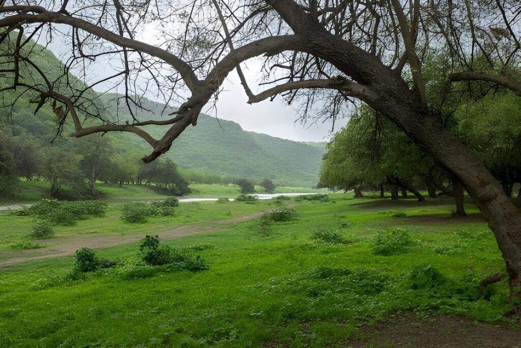Yankari National Park1