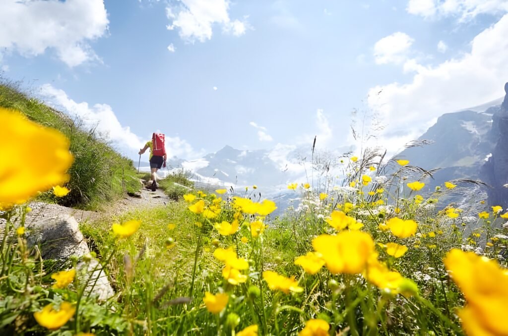 time-to-visit-switzerland